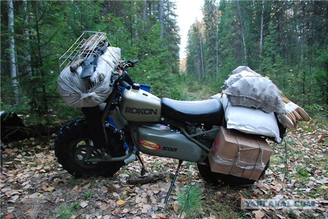 Автомобиль Выживания