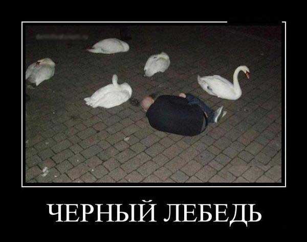 Мама, папа, я вернулся!
