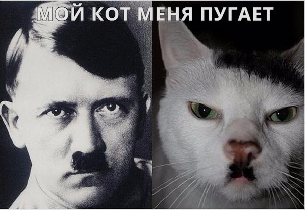 Прикольные картинки абавсём