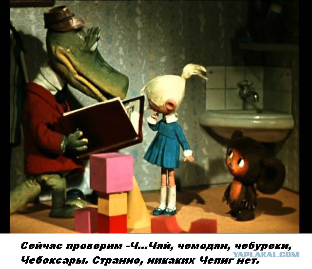 CIT опубликовали водительское удостоверение Чепиги