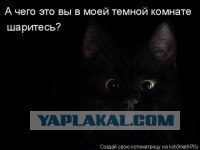 Сколько пожарных нужно, чтобы спасти одну кошку?