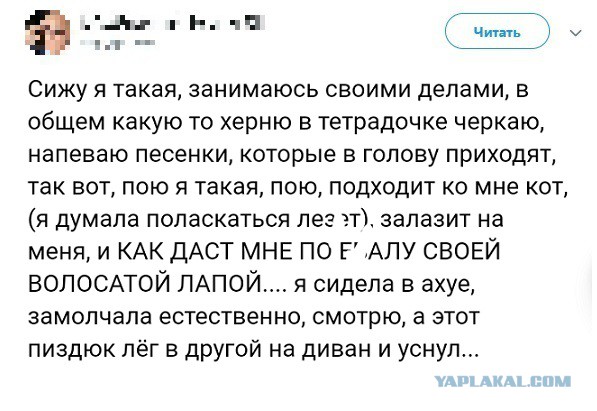 Прикольные комментарии и высказывания из Сети