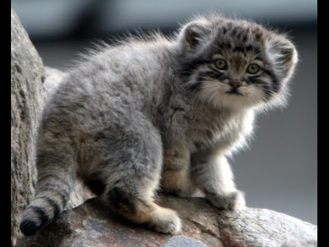 У многих есть такой веселый друг, которые все дружески портит