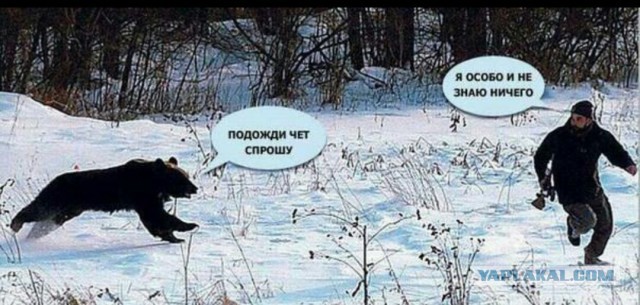 Картинки и мемы для настроения