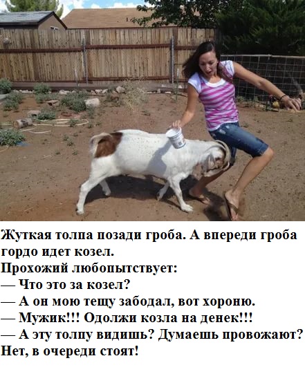 Чуток картинок 05.05.20