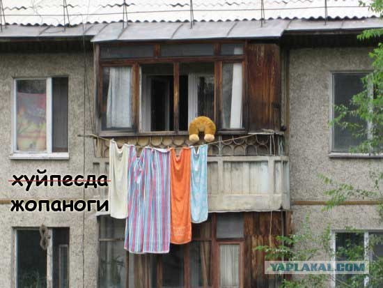 Конкурс: подпись к картинке