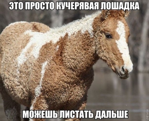 Так себе картинки 10.06.20