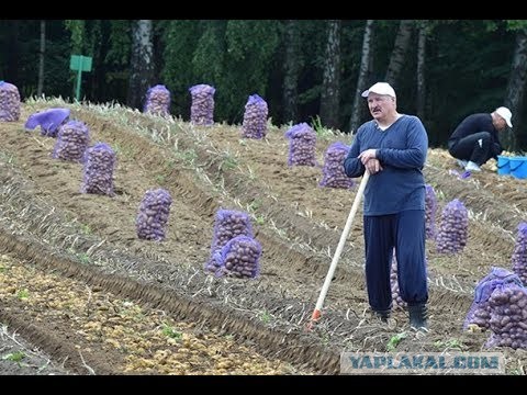 Перехват Лукашенко.