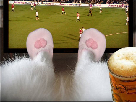 Фотожаба: Ноги котэ