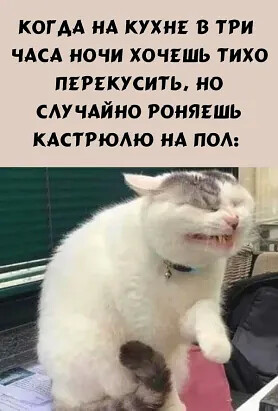 Боянистые картинки 07.12.20