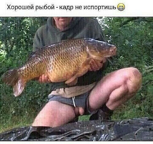 Картинки всякие 13.02.21
