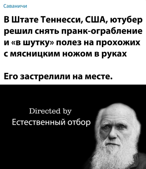 Так себе картинки 16.02.21