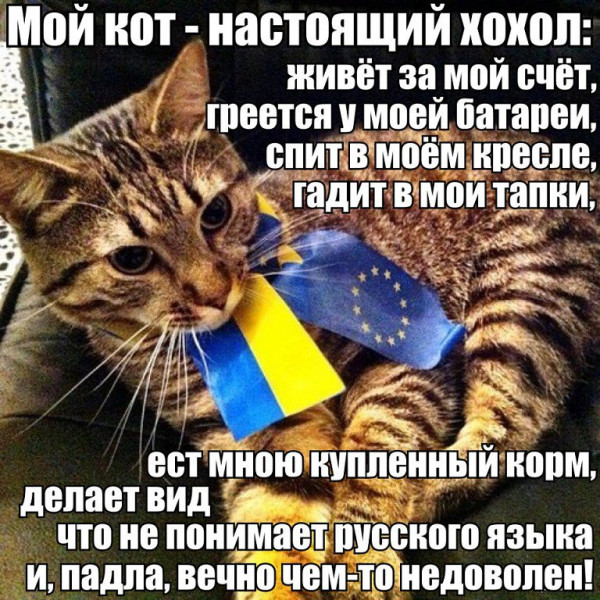 Так себе картинки 20.06.21