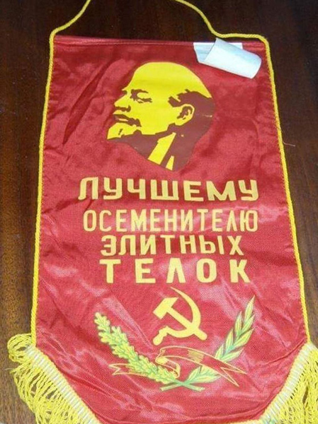 Просто картинки 05.07.2021