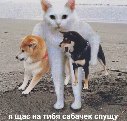 15789534.jpg