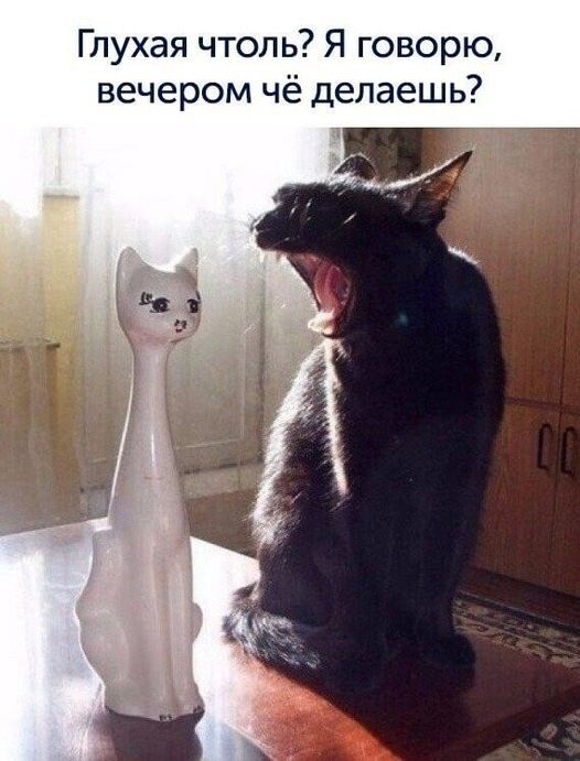 Баянисто-небаянистый юмор 19.10.21