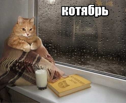Так себе картинки 23.10.21