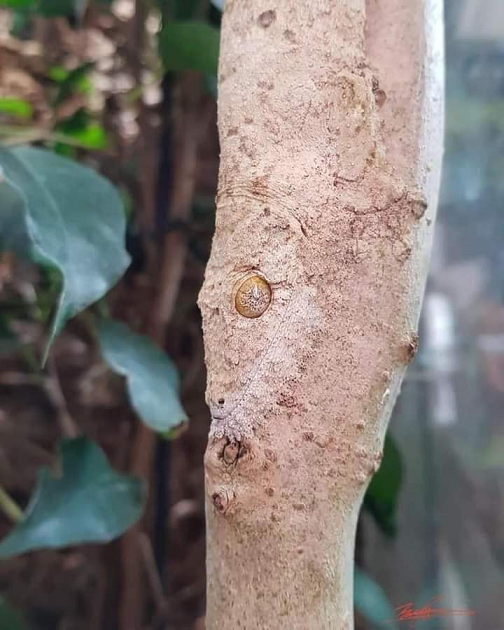 Не на нас, а на вас