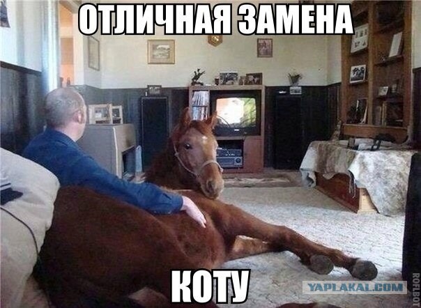 Так себе картинки 06.12.21