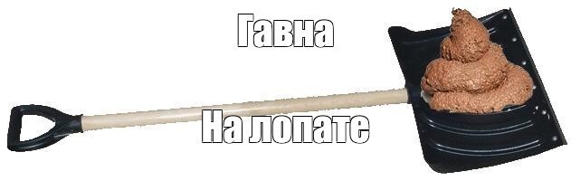 BMW головного мозга