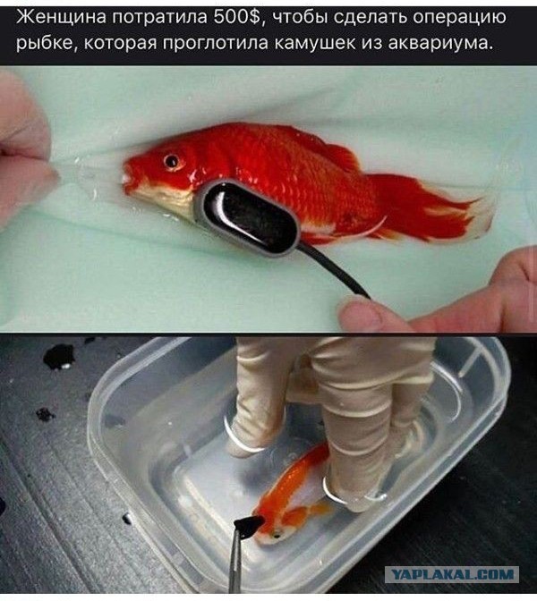 Картинки 25.01.2022