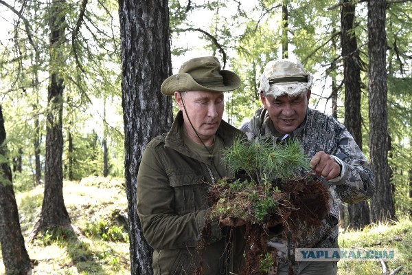 Симоньян,  Захарова,  Толстой , Соловьев и многие другие лица