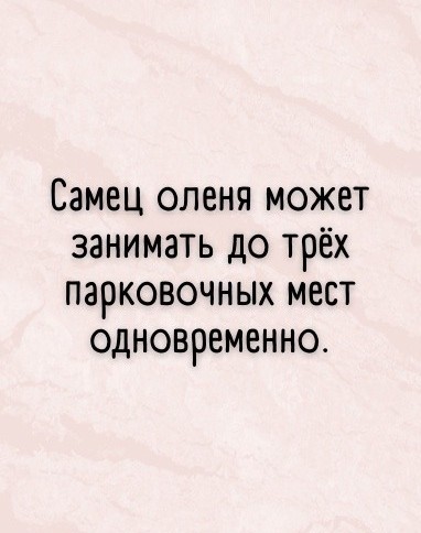 Я вначале не понял, а потом как понял!