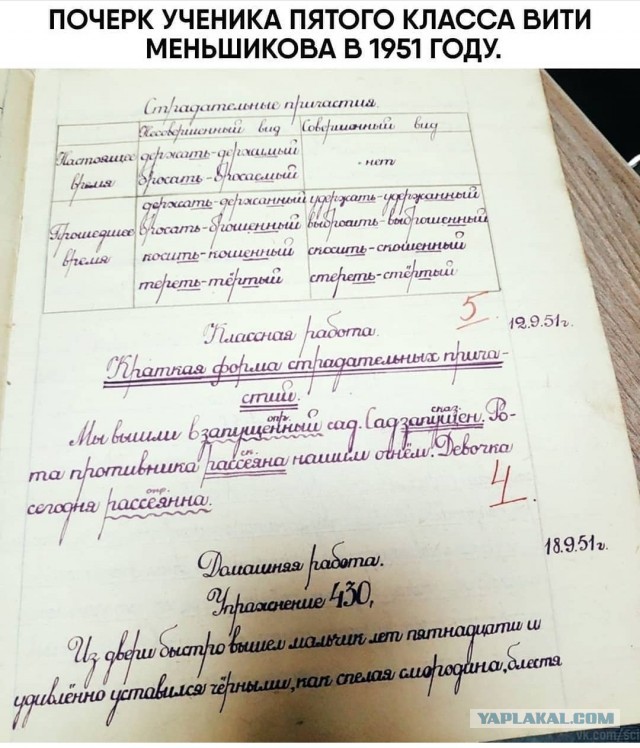 Интересности