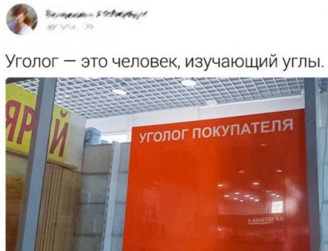 Весёлый полтишок 14.06.22