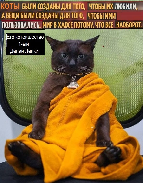 Прикольные и просто красивые картинки 22.06.2022