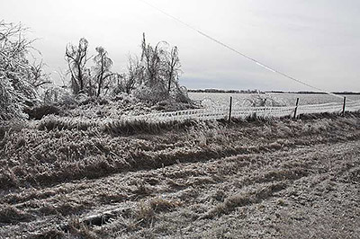 Ледяной шторм в Неваде