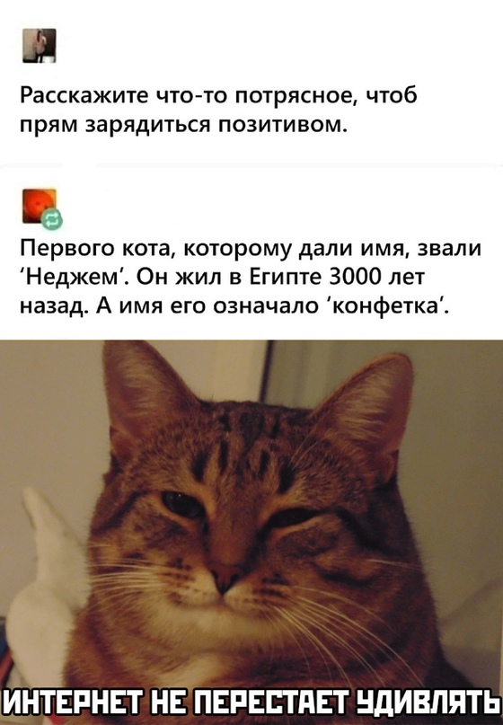 Картинки и мемы. Выходные близко, близко...