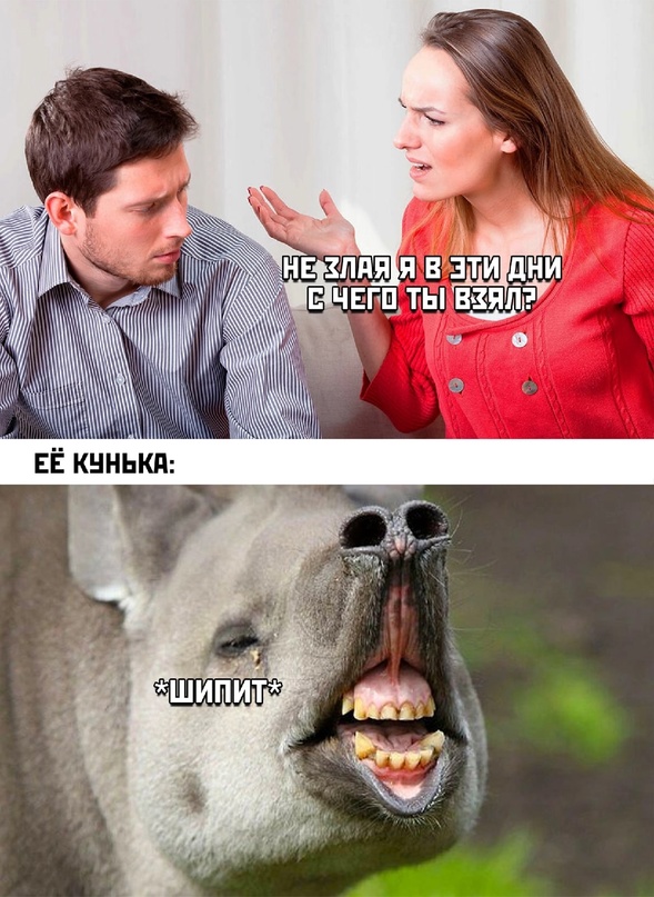 Картинки и мемы для настроения - 11