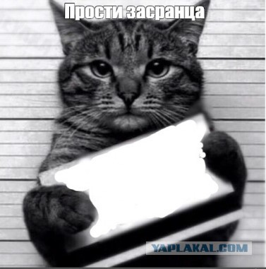 Шо там плохо пахнет!