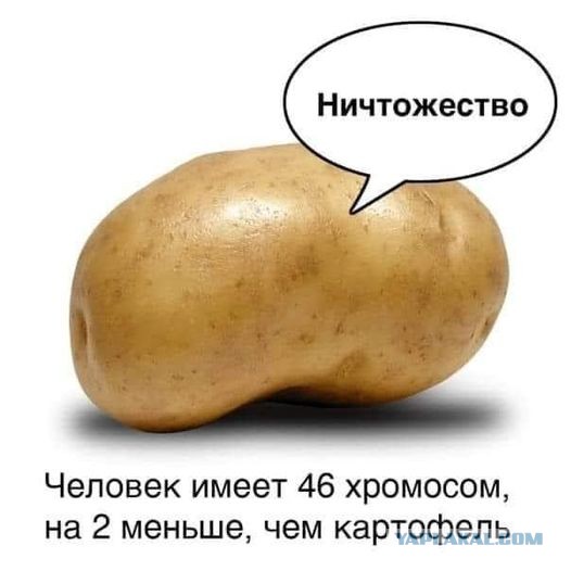 50 оттенков серого если самосвал баянов. Vol.21