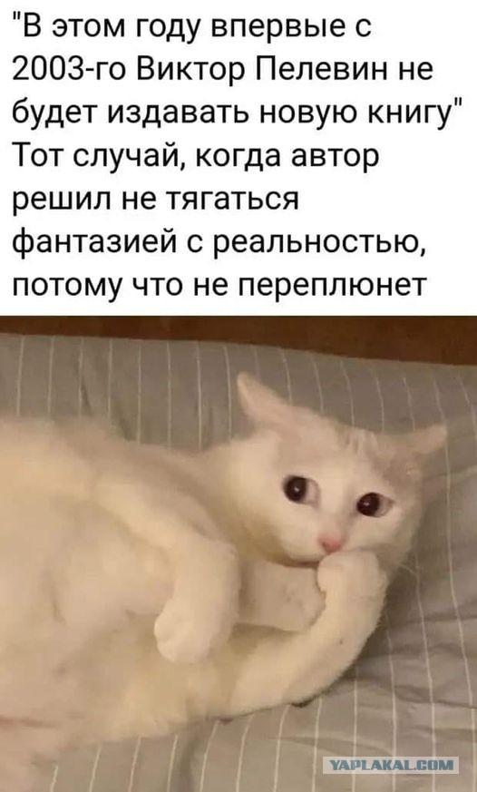 Весёлый полтишок 08.09.22
