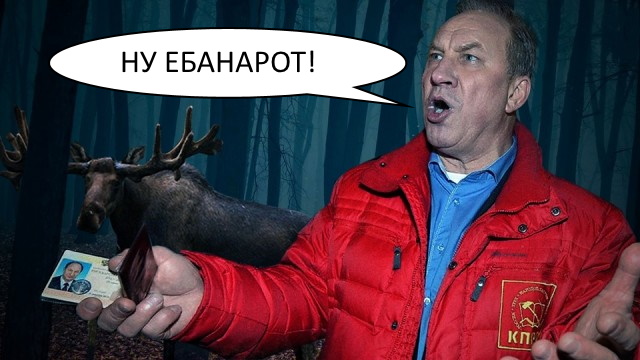 Пожалел, не стал стрелять