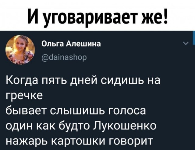 Забавные комментарии из социальных сетей (19.12.22)