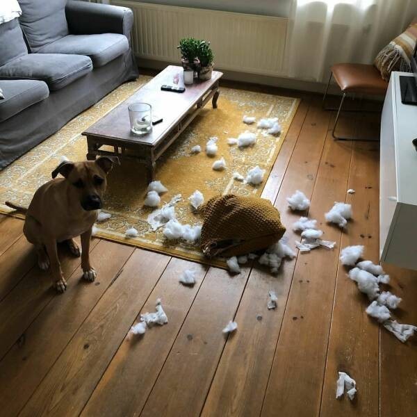 Подборка интересных и прикольных фото из Сети 01.04.23