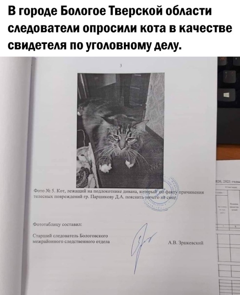 Так себе картинки 08.04.23