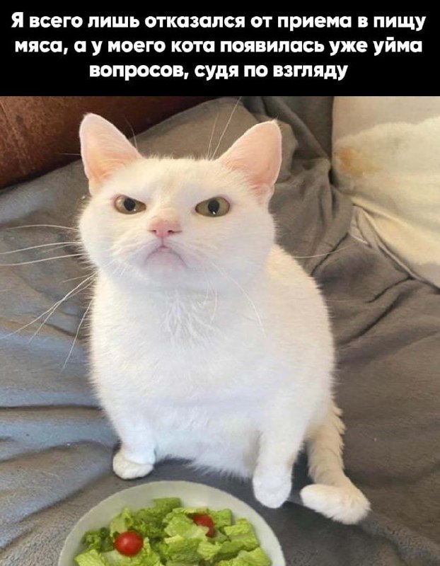 Юмор в картинках и без