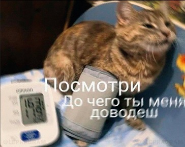 Это что сейчас было?!