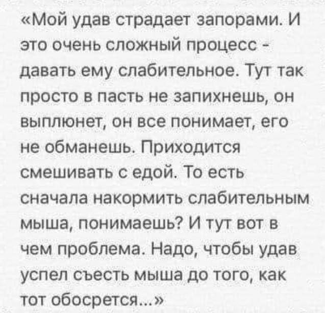 Всего понемногу. От 12.08