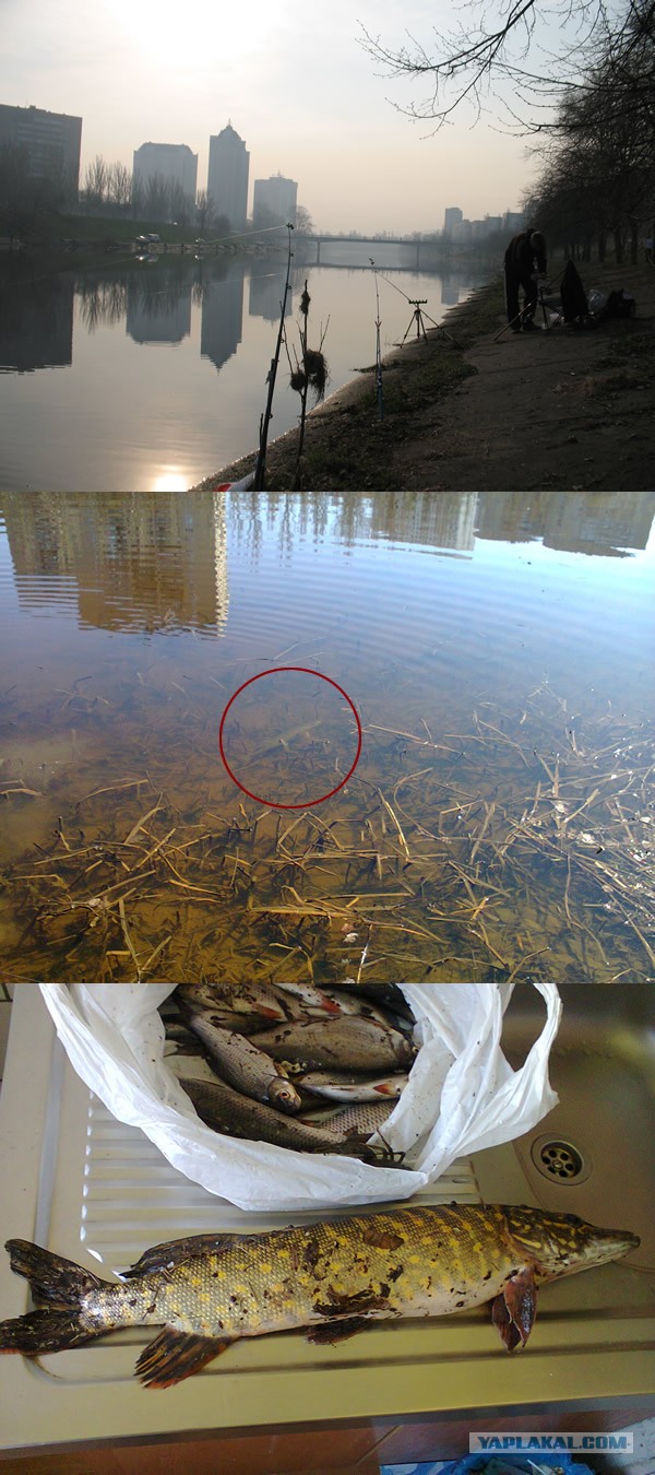 Открытие рыболовного сезона!