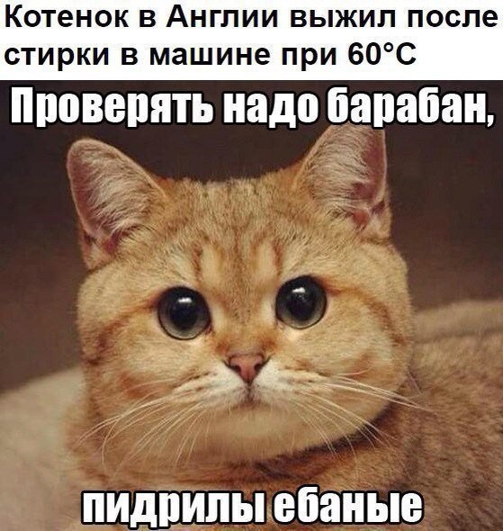 Прикольные комменты и картинки