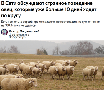 В Саудовской Аравии во время хаджа погибло свыше 500 паломников