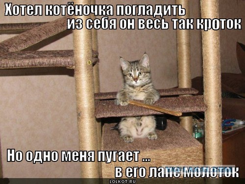Резиденция для Маршала