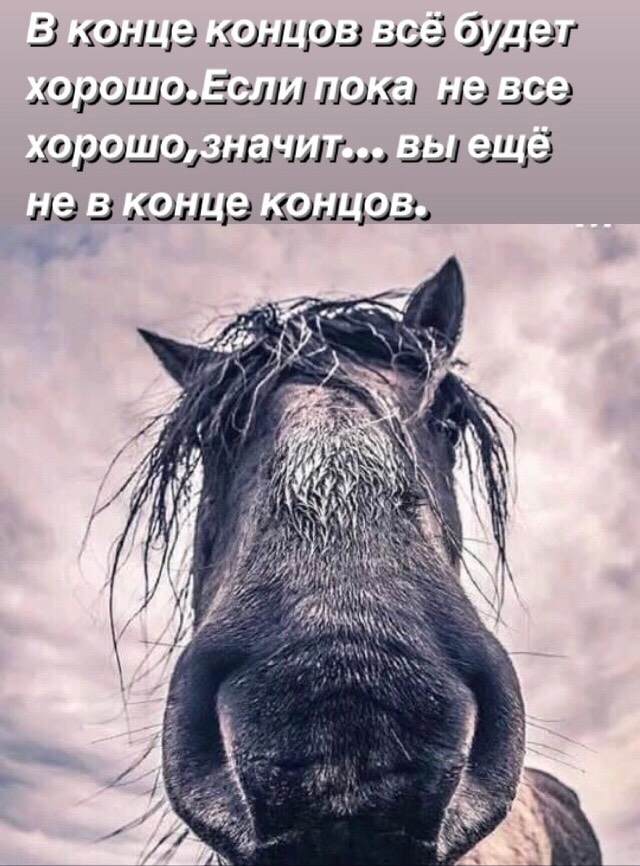 Веселые картинки на пятницу (15.11)