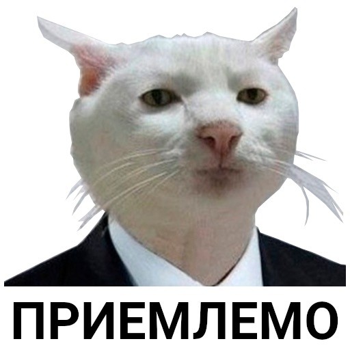 Теперь он будет жить у нас