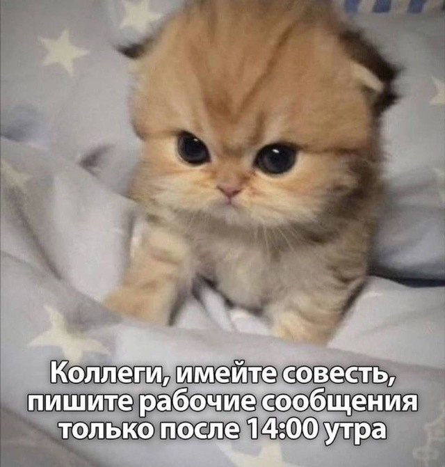 Всего понемногу. От 08.01.2025